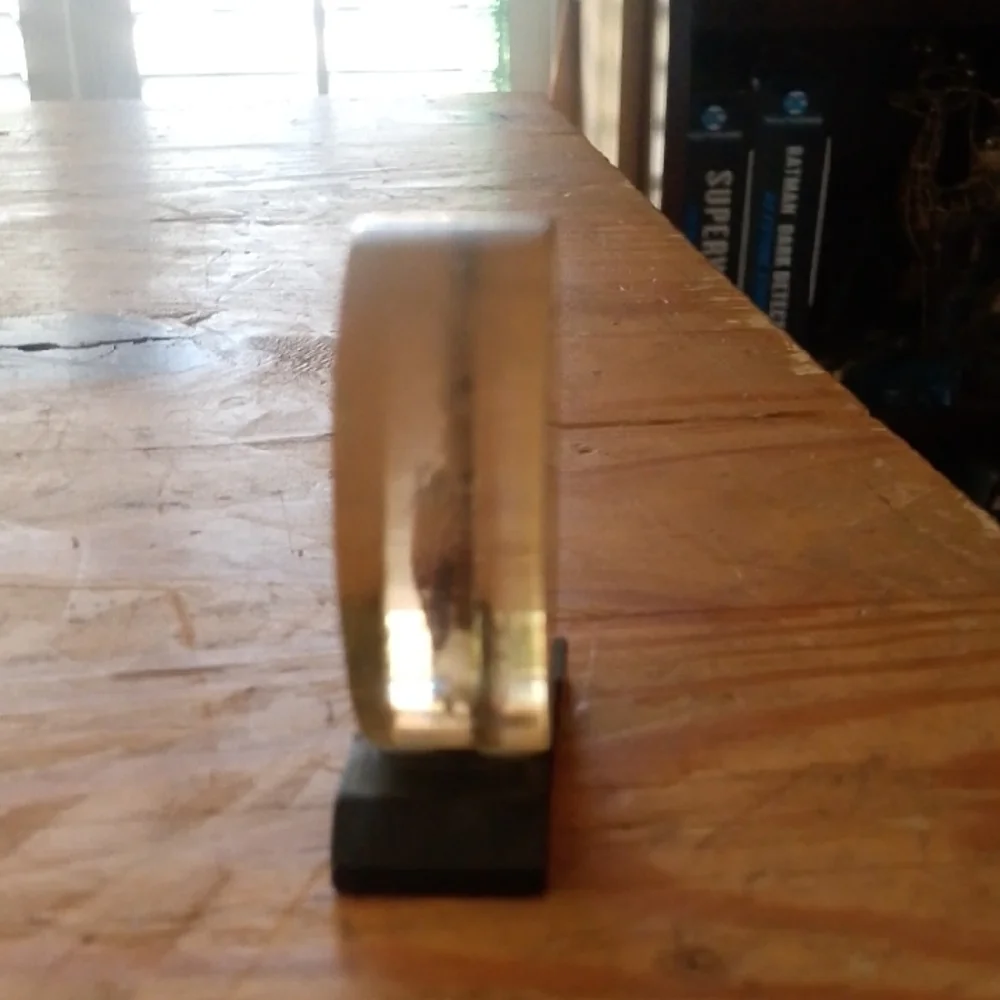 Seahorse Resin Display with Black Base